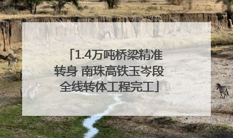 1.4万吨桥梁精准转身 南珠高铁玉岑段全线转体工程完工