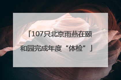 107只北京雨燕在颐和园完成年度“体检”