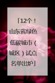 12个！山东省绿色低碳城市（城区）试点名单出炉