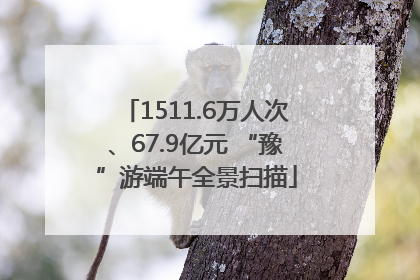 1511.6万人次、67.9亿元 “豫”游端午全景扫描