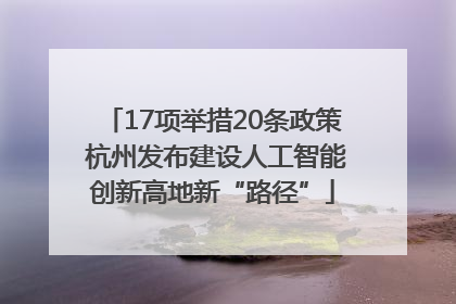 17项举措20条政策 杭州发布建设人工智能创新高地新“路径”