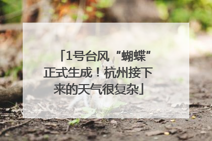 1号台风“蝴蝶”正式生成！杭州接下来的天气很复杂