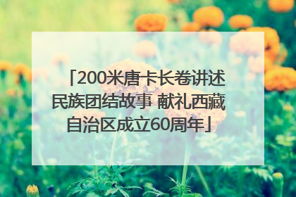 200米唐卡长卷讲述民族团结故事 献礼西藏自治区成立60周年