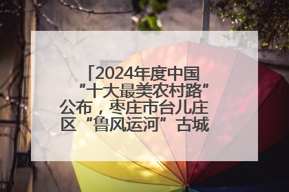 2024年度中国“十大最美农村路”公布，枣庄市台儿庄区“鲁风运河”古城文化廊道上榜！