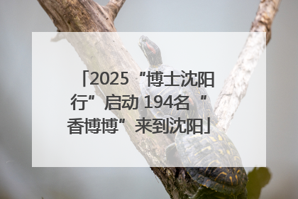 2025“博士沈阳行”启动 194名“香博博”来到沈阳