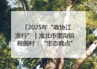 2025年“政协江淮行”｜淮北市渠沟镇程阁村：“生态痛点”变“生态景观”