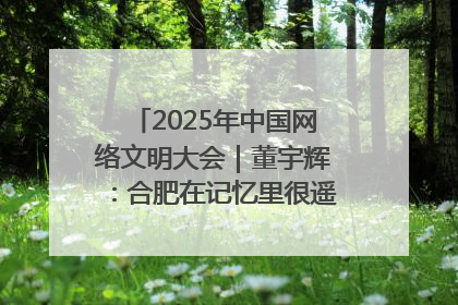 2025年中国网络文明大会｜董宇辉：合肥在记忆里很遥远也很亲切