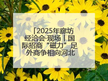 2025年廊坊经洽会·现场丨国际招商“磁力”足 外商争相向河北推介项目