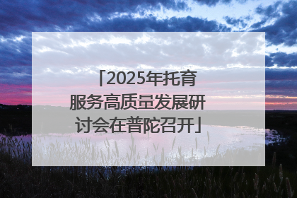 2025年托育服务高质量发展研讨会在普陀召开