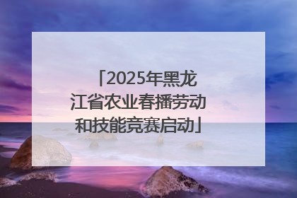 2025年黑龙江省农业春播劳动和技能竞赛启动