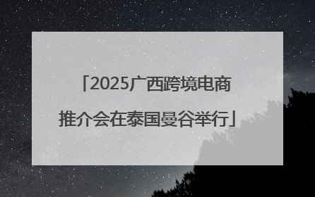 2025广西跨境电商推介会在泰国曼谷举行