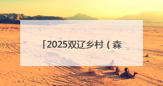 2025双辽乡村（森林）半程马拉松开跑