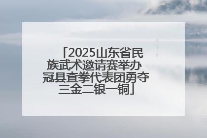 2025山东省民族武术邀请赛举办 冠县查拳代表团勇夺三金二银一铜