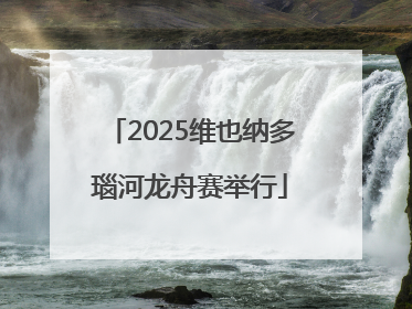 2025维也纳多瑙河龙舟赛举行