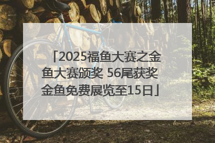 2025福鱼大赛之金鱼大赛颁奖 56尾获奖金鱼免费展览至15日
