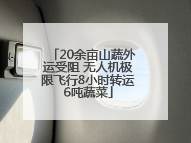 20余亩山蔬外运受阻 无人机极限飞行8小时转运6吨蔬菜