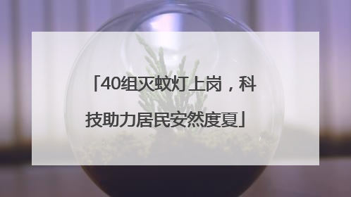 40组灭蚊灯上岗，科技助力居民安然度夏