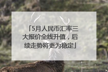 5月人民币汇率三大报价全线升值，后续走势将更为稳定