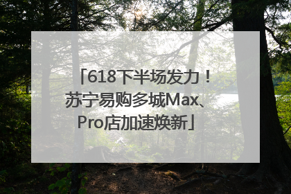 618下半场发力！苏宁易购多城Max、Pro店加速焕新