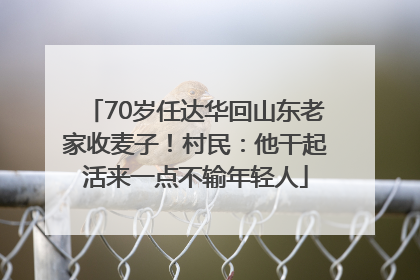 70岁任达华回山东老家收麦子！村民：他干起活来一点不输年轻人