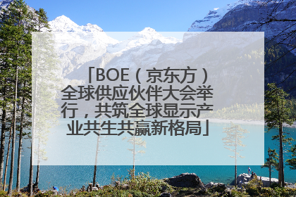 BOE（京东方）全球供应伙伴大会举行，共筑全球显示产业共生共赢新格局