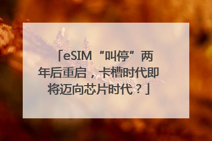 eSIM“叫停”两年后重启，卡槽时代即将迈向芯片时代？